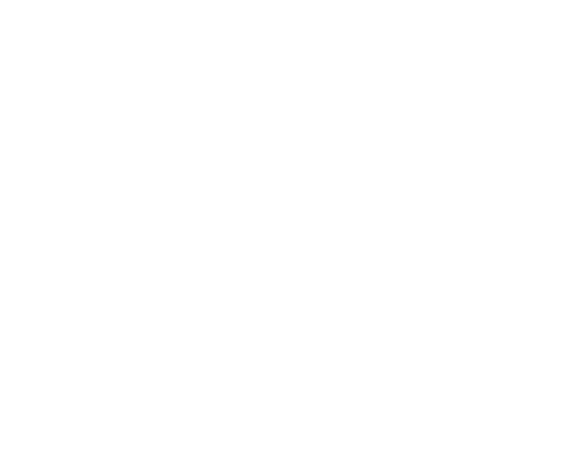 The Rebirth Lab